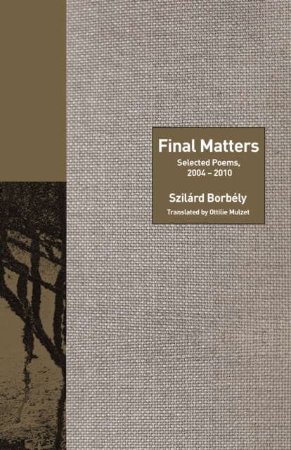 Final Matters : Selected Poems, 2004-2010, EPUB eBook