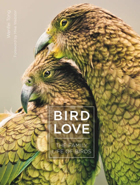 Bird Love : The Family Life of Birds, Hardback Book