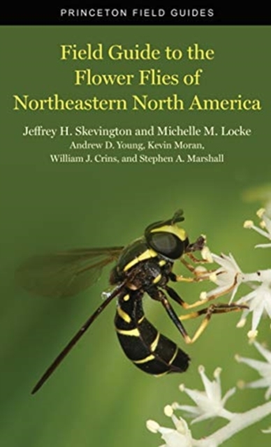 Field Guide to the Flower Flies of Northeastern North America, Paperback / softback Book
