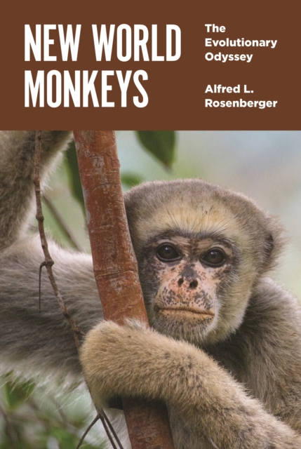 New World Monkeys : The Evolutionary Odyssey, EPUB eBook