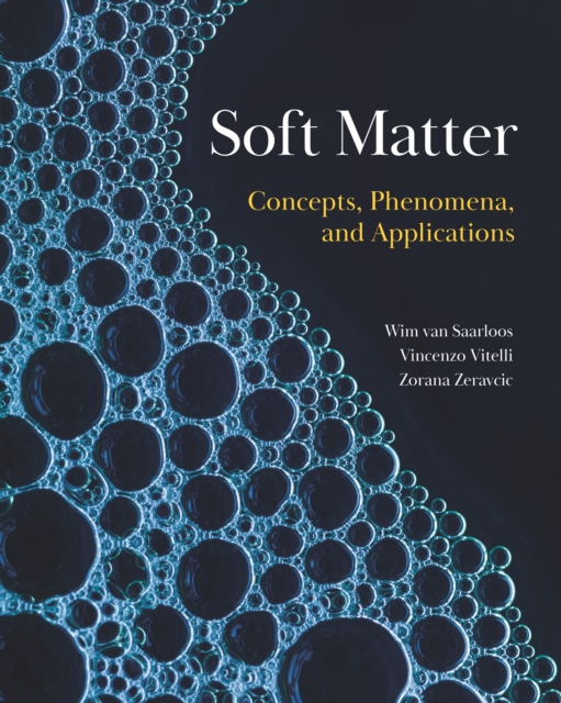 Soft Matter : Concepts, Phenomena, and Applications, Hardback Book