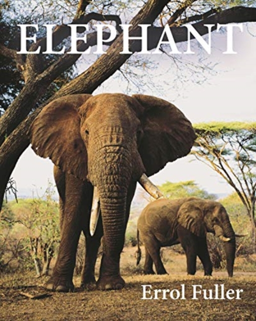 Elephant, Hardback Book