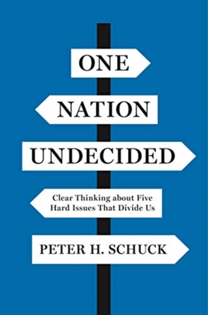 One Nation Undecided : Clear Thinking about Five Hard Issues That Divide Us, Paperback / softback Book