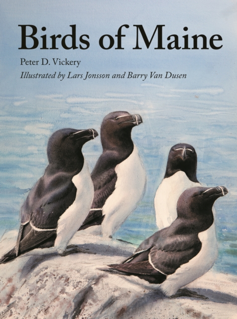 Birds of Maine, Hardback Book
