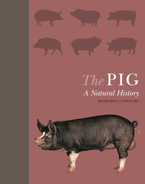 The Pig : A Natural History, EPUB eBook