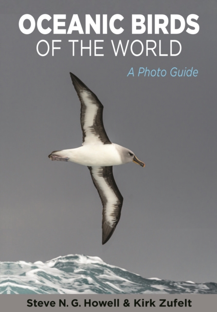 Oceanic Birds of the World : A Photo Guide, PDF eBook