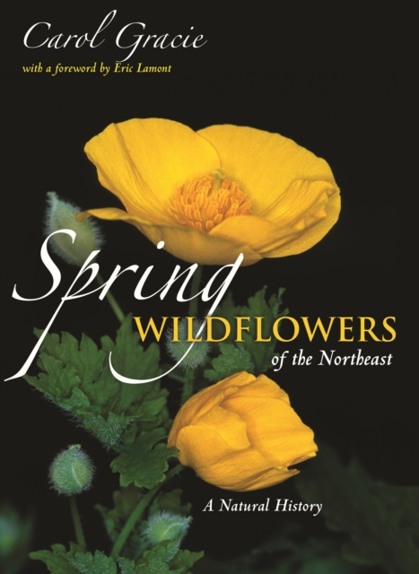 Spring Wildflowers of the Northeast : A Natural History, Paperback / softback Book
