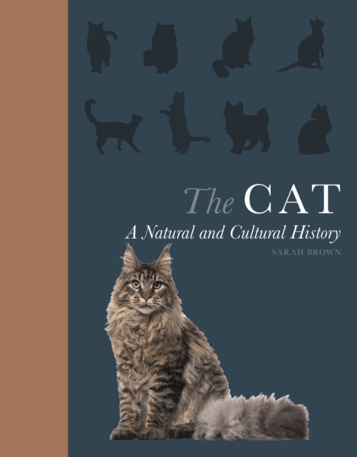 The Cat : A Natural and Cultural History, PDF eBook