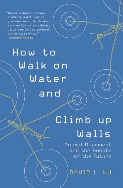 How to Walk on Water and Climb up Walls : Animal Movement and the Robots of the Future, Paperback / softback Book