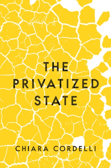 The Privatized State, Hardback Book