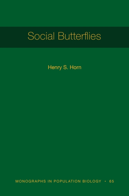 Social Butterflies, Hardback Book