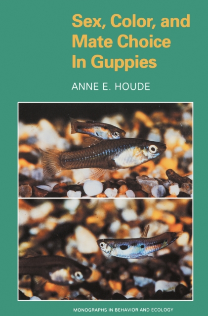 Sex, Color, and Mate Choice in Guppies, PDF eBook