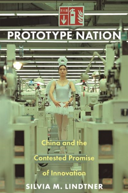 Prototype Nation : China and the Contested Promise of Innovation, Paperback / softback Book