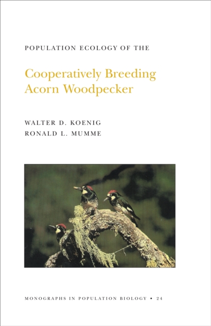 Population Ecology of the Cooperatively Breeding Acorn Woodpecker. (MPB-24), Volume 24, PDF eBook