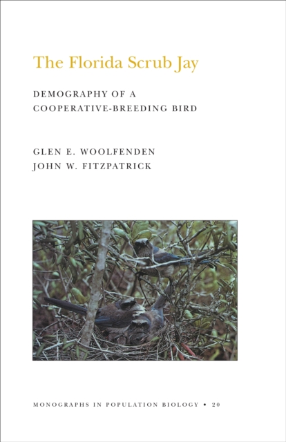 The Florida Scrub Jay (MPB-20), Volume 20 : Demography of a Cooperative-Breeding Bird. (MPB-20), PDF eBook