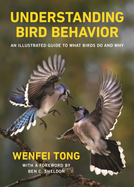 Understanding Bird Behavior : An Illustrated Guide to What Birds Do and Why, PDF eBook