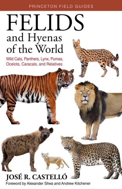Felids and Hyenas of the World : Wildcats, Panthers, Lynx, Pumas, Ocelots, Caracals, and Relatives, EPUB eBook