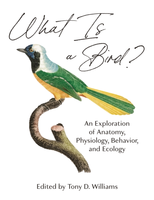 What Is a Bird? : An Exploration of Anatomy, Physiology, Behavior, and Ecology, EPUB eBook