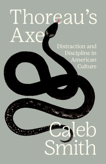Thoreau's Axe : Distraction and Discipline in American Culture, EPUB eBook