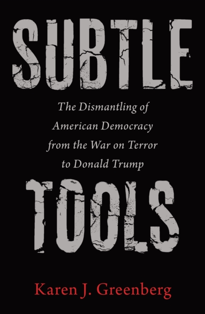 Subtle Tools : The Dismantling of American Democracy from the War on Terror to Donald Trump, EPUB eBook