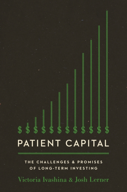 Patient Capital : The Challenges and Promises of Long-Term Investing, Paperback / softback Book