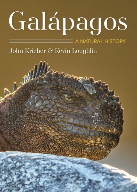 Galapagos : A Natural History  Second Edition, Paperback / softback Book