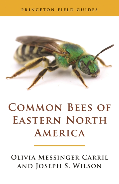 Common Bees of Eastern North America, Hardback Book