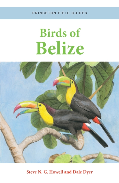 Birds of Belize, PDF eBook
