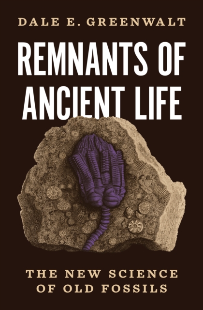 Remnants of Ancient Life : The New Science of Old Fossils, EPUB eBook