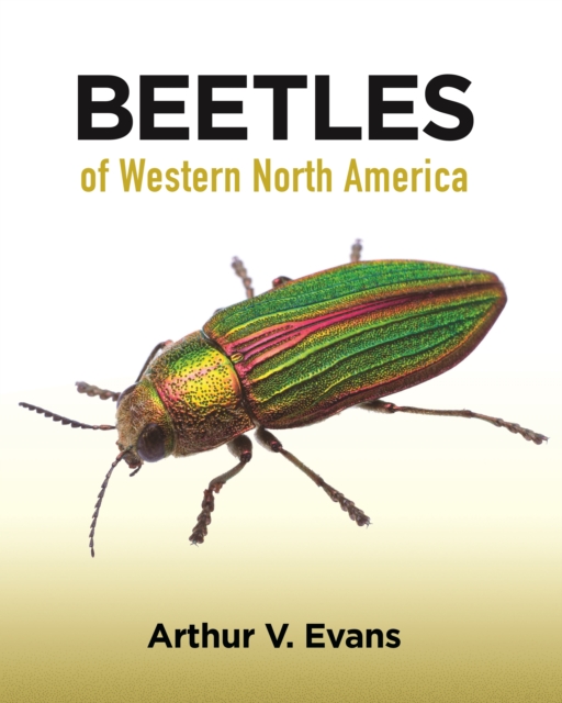Beetles of Western North America, PDF eBook