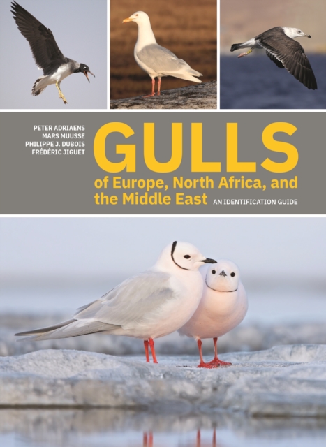Gulls of Europe, North Africa, and the Middle East : An Identification Guide, Paperback / softback Book