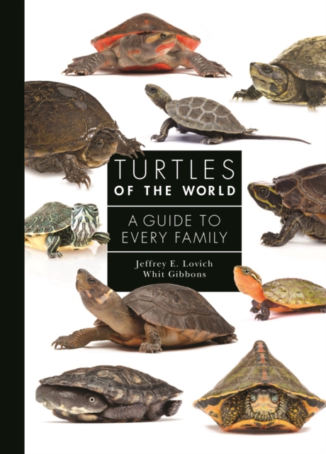 Turtles of the World : A Guide to Every Family, Hardback Book