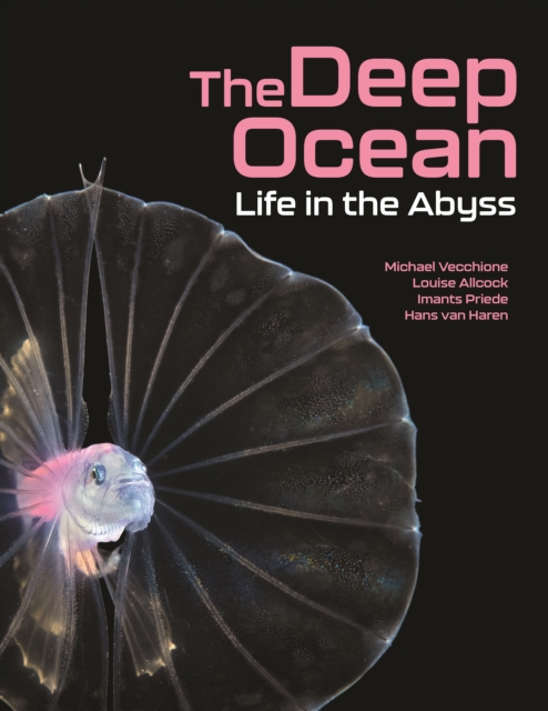 The Deep Ocean : Life in the Abyss, Hardback Book