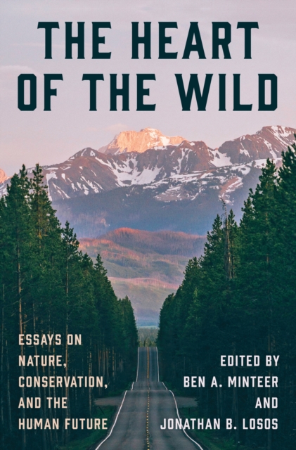 The Heart of the Wild : Essays on Nature, Conservation, and the Human Future, Hardback Book