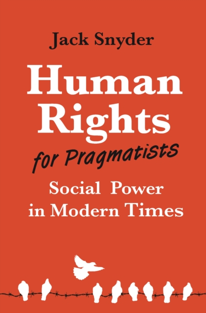 Human Rights for Pragmatists : Social Power in Modern Times, Hardback Book