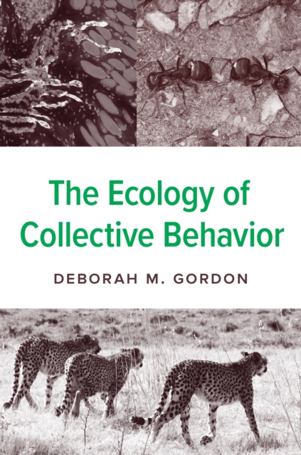 The Ecology of Collective Behavior, Hardback Book