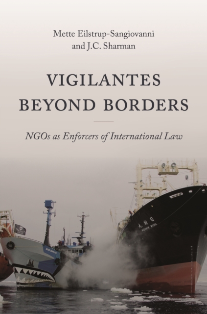 Vigilantes beyond Borders : NGOs as Enforcers of International Law, Paperback / softback Book