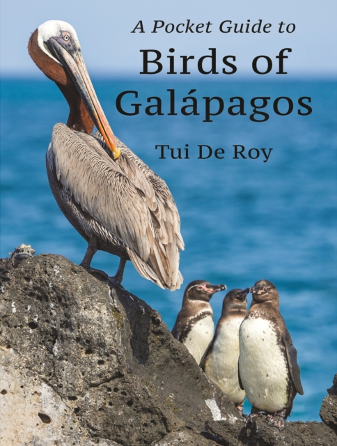 A Pocket Guide to Birds of Galapagos, Paperback / softback Book