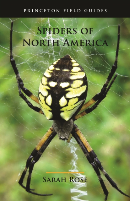 Spiders of North America, PDF eBook