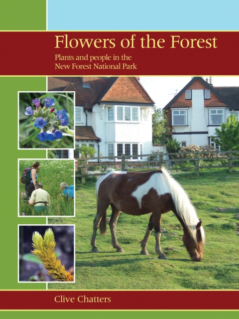 Flowers of the Forest : Plants and People in the New Forest National Park, EPUB eBook