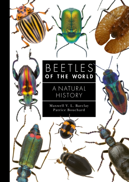 Beetles of the World : A Natural History, Hardback Book