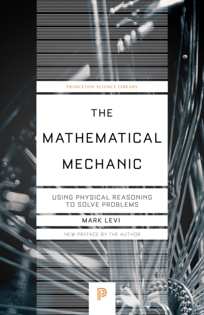 The Mathematical Mechanic : Using Physical Reasoning to Solve Problems, PDF eBook