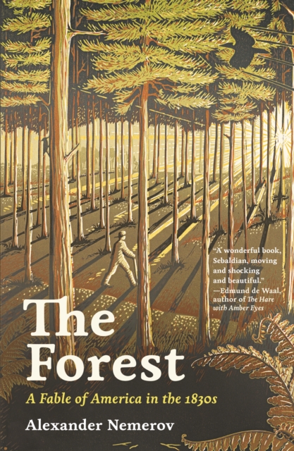 The Forest : A Fable of America in the 1830s, EPUB eBook