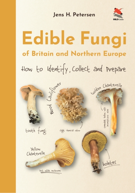 Edible Fungi of Britain and Northern Europe : How to Identify, Collect and Prepare, PDF eBook