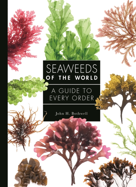 Seaweeds of the World : A Guide to Every Order, PDF eBook