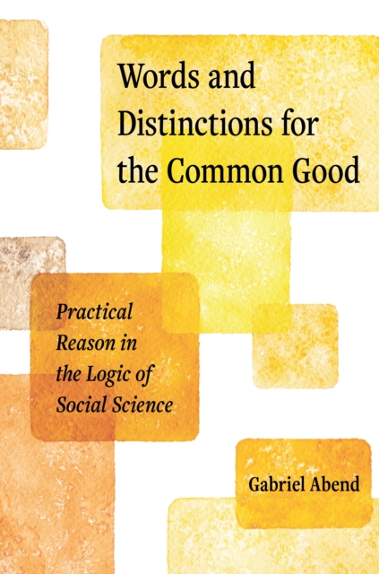 Words and Distinctions for the Common Good : Practical Reason in the Logic of Social Science, Paperback / softback Book