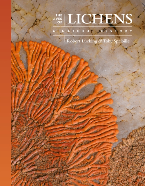 The Lives of Lichens : A Natural History, Hardback Book