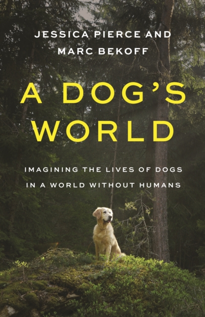 A Dog's World : Imagining the Lives of Dogs in a World without Humans, Paperback / softback Book