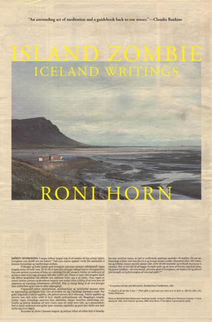 Island Zombie : Iceland Writings, Paperback / softback Book