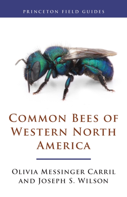 Common Bees of Western North America, PDF eBook